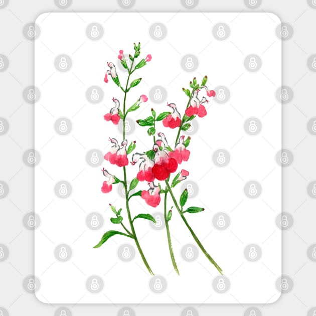 December 18th birthday flower Sticker by birthflower